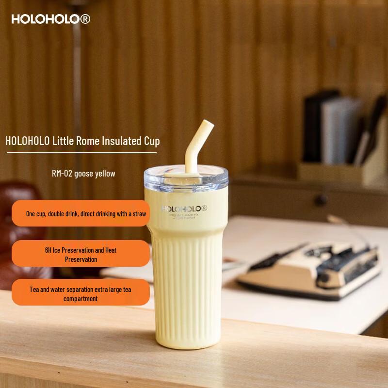 HOLOHOLO Roman 316 Stainless Steel Insulated Tumbler