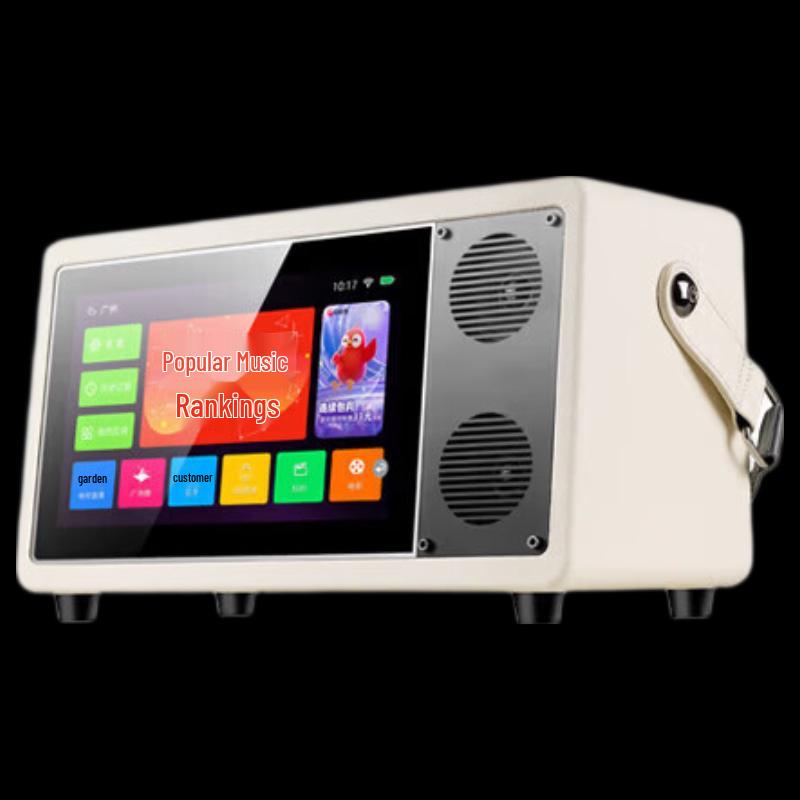 

SAST All-in-One Portable Karaoke System with Screen CN plug (adapter included)