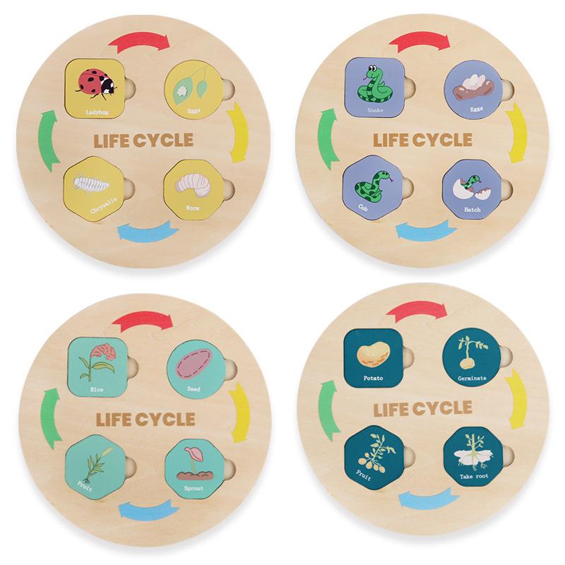 Children's Animal And Plant Growth Cycle Process Cognitive Baby Color Classification Matching Educational Toys