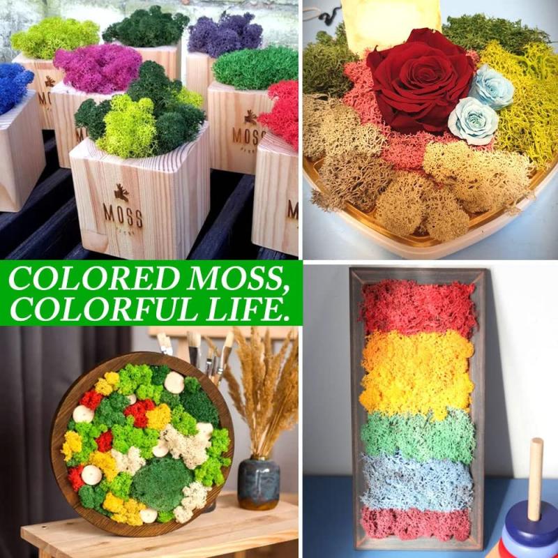 Neue 50/30/10g Künstliche Grüne Pflanzen Ewiges Leben Moos Gras Heim Garten Dekoration Mini Landschaft Künstliche Blume DIY Bastelgeschenke