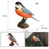 Oenux Forest Bird Animals Wild Ostrich Magpie Owl Crow Flamingos Figurines Action Figure PVC Garden Decoration Miniature Kid Toy