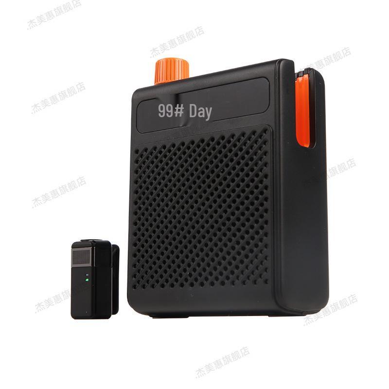 Bee-Type Wireless Microphone & Amplifier with Large Speaker and Magnetic Lapel Clip for Teachers