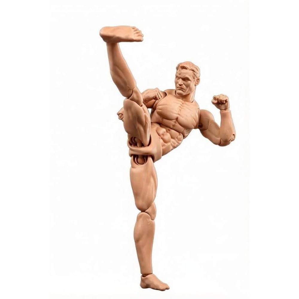 Fremego 1:12 Scale Male Action Figure 6-inch Muscular Handsome Solid Body Collectible Doll