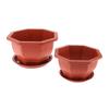 1 Pezzo Vaso da Fiori Esagonale in Plastica con Sottovaso Non si Deforma Facilmente Speciale per Bonsai Piante Verdi Decorazione Classica per Giardino Interno