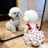 Cat Summer Clothes Thin Breathable Princess Dress Cute Small Dog Teddy Bigbear Pomeranian Summer Dress