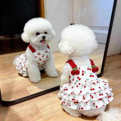 Mačka Letné Oblečenie Tenké Priedušné Princeznovské Šaty Roztomilý Malý Pes Teddy Veľký Medveď Pomeranian Letné Šaty