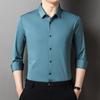 Spring New Men's Shirts Youth Fashion Business Casual Tops Bottoming Shirts Slim Long-sleeved Shirts for Men