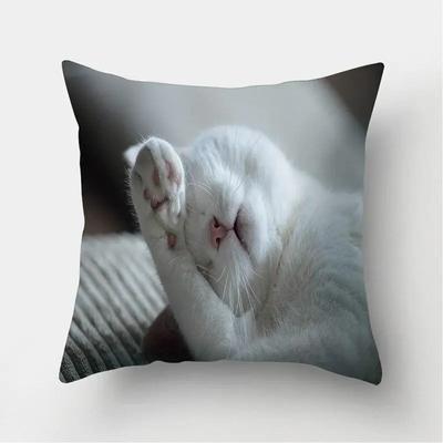 Textile pentru bucătărie și sufragerie – Huse pentru perne
