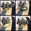 3D Simulation Cat Favor Fish Dog Toys Plush Stuffed Fish Shape Cats Padded Toy Catnip Scratch Board Scratching Post For Pet