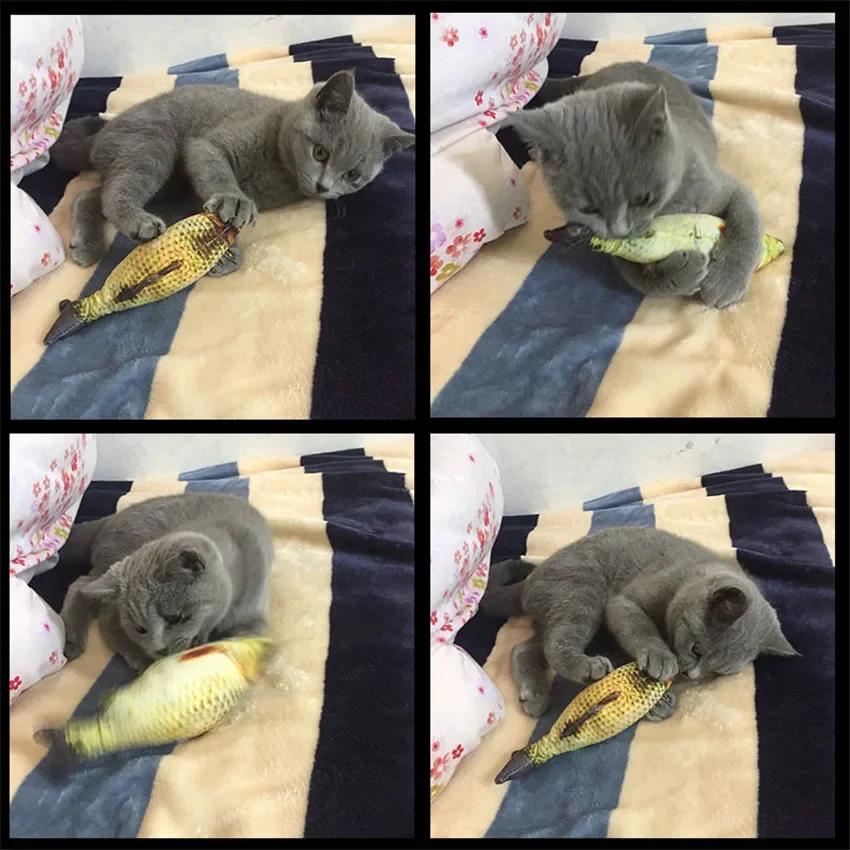 3D Simulation Cat Favor Fish Dog Toys Plush Stuffed Fish Shape Cats Padded Toy Catnip Scratch Board Scratching Post For Pet