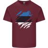 Torn Estonia Flag Estonian Day Football Unisexs Light Cotton Tshirt