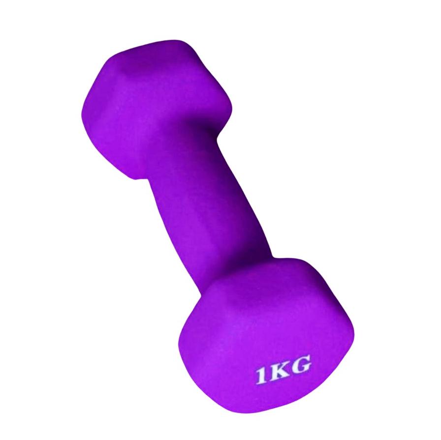 Dumbbell 1 Kg X-Sport - Purple