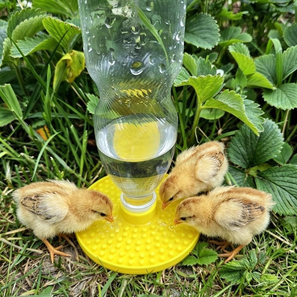 Multi-Hole Chicks Automatic Drinking Tray Plastic Bee Water Dispenser Home Balcony