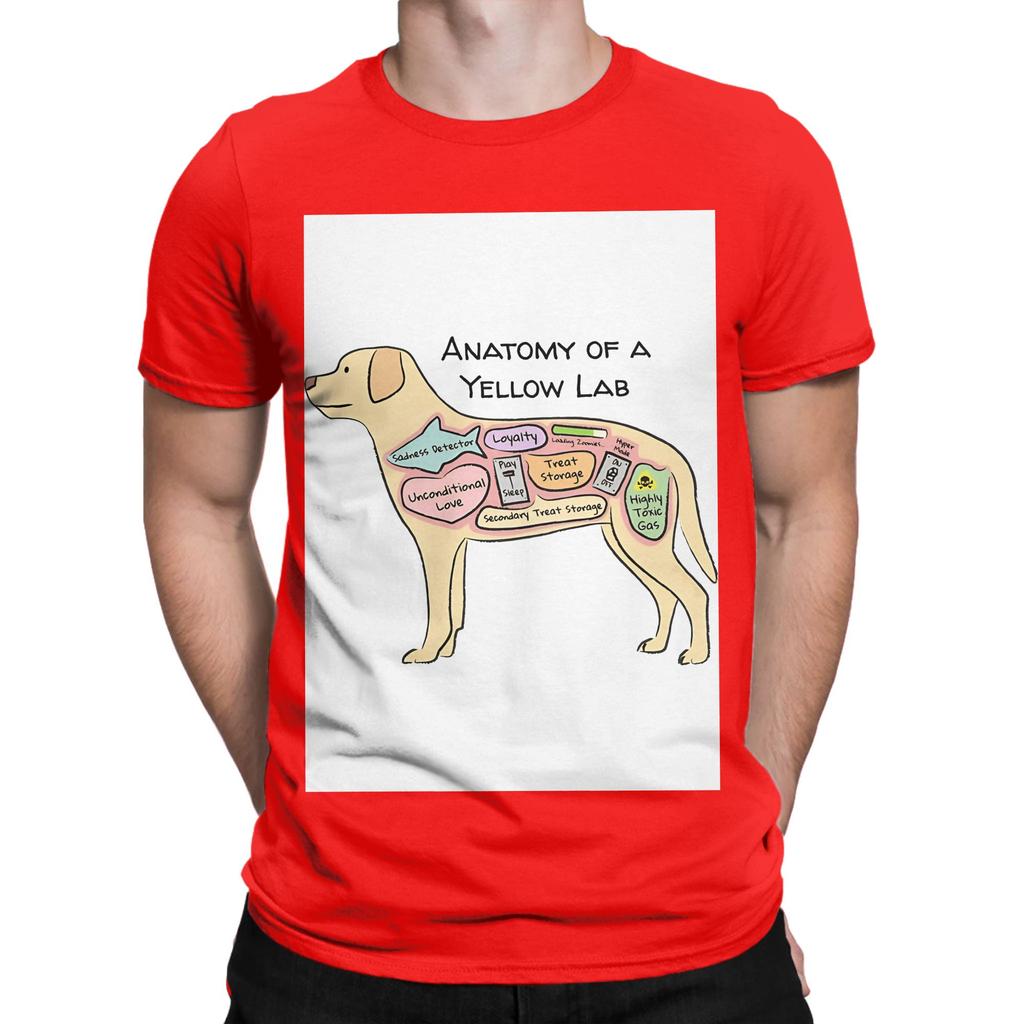 Anatomy of a Yellow Lab Labrador Retriever Graphic 100 Cotton TShirt Labrador Retriever Tees Tops For Unisex