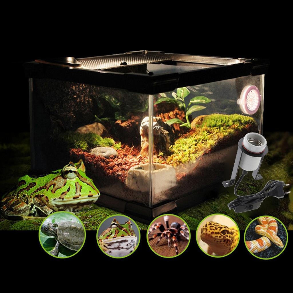 Reptile Turtle Amphibian Lamp Holder, Bearded Dragon Lizard Heat Bulb Socket