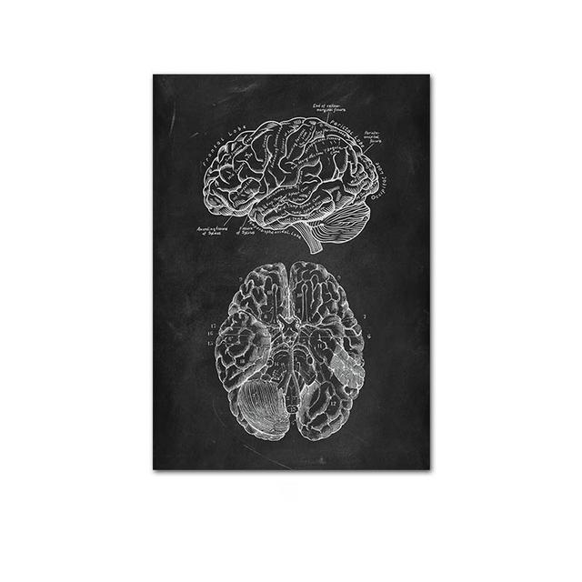 Human Musculoskeletal Heart Anatomy Skeleton Poster Canvas Painting and Printmaking Home Room Painting Decorative Art No Frame