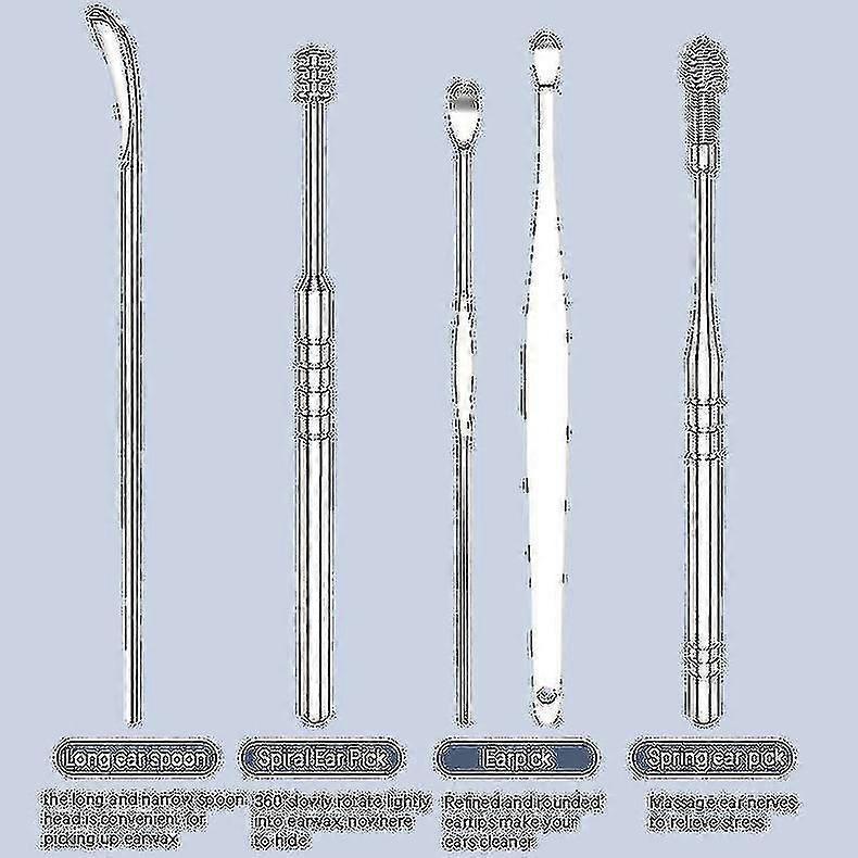 6pcs Ear Wax Pickers Kit Stainless Steel Ear Wax Remover Ear Pick Cleaner Spoon Tools