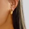 Golden Starfish Earrings Textured Seashell Dangle Earrings Personalized C-Shape Earrings Set  Women