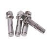304316 Stainless Steel Slotted Head Expansion Screw