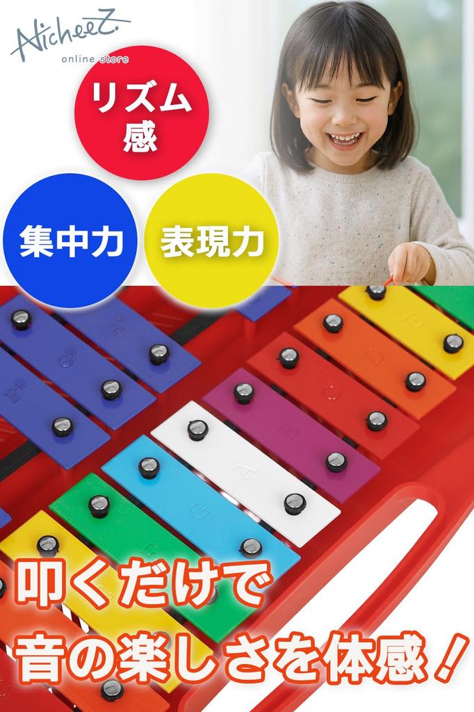 Nicheez Glockenspiel Metallophone for Percussion Instrument with Mallets and Colorful Educational Gift Kids, 25-Note Case, Toy, (Blue)