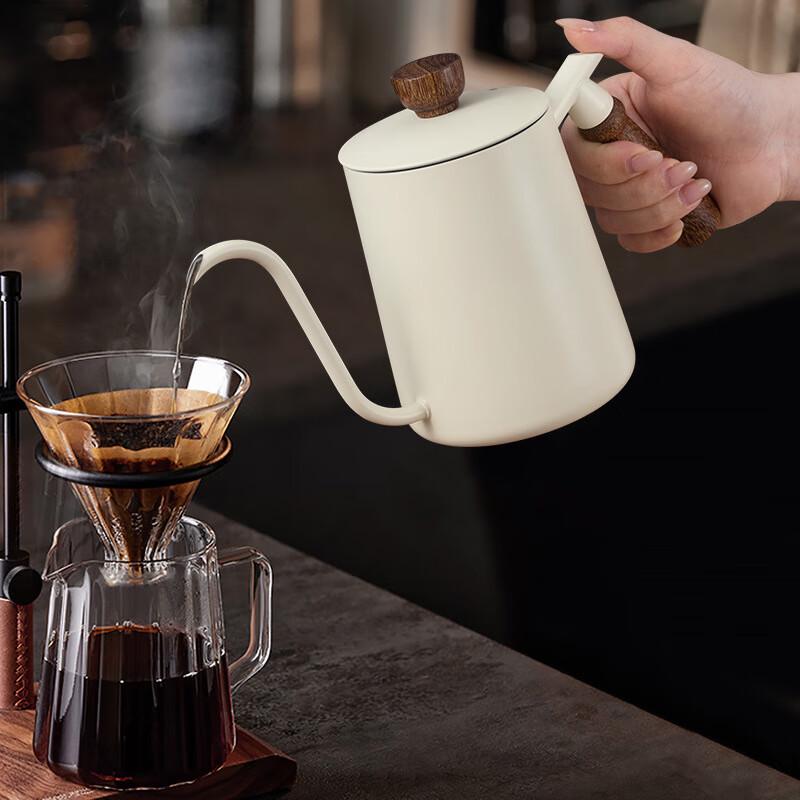 Pabe 600ML Wooden Handle Stainless Steel Pour Over Coffee Kettle