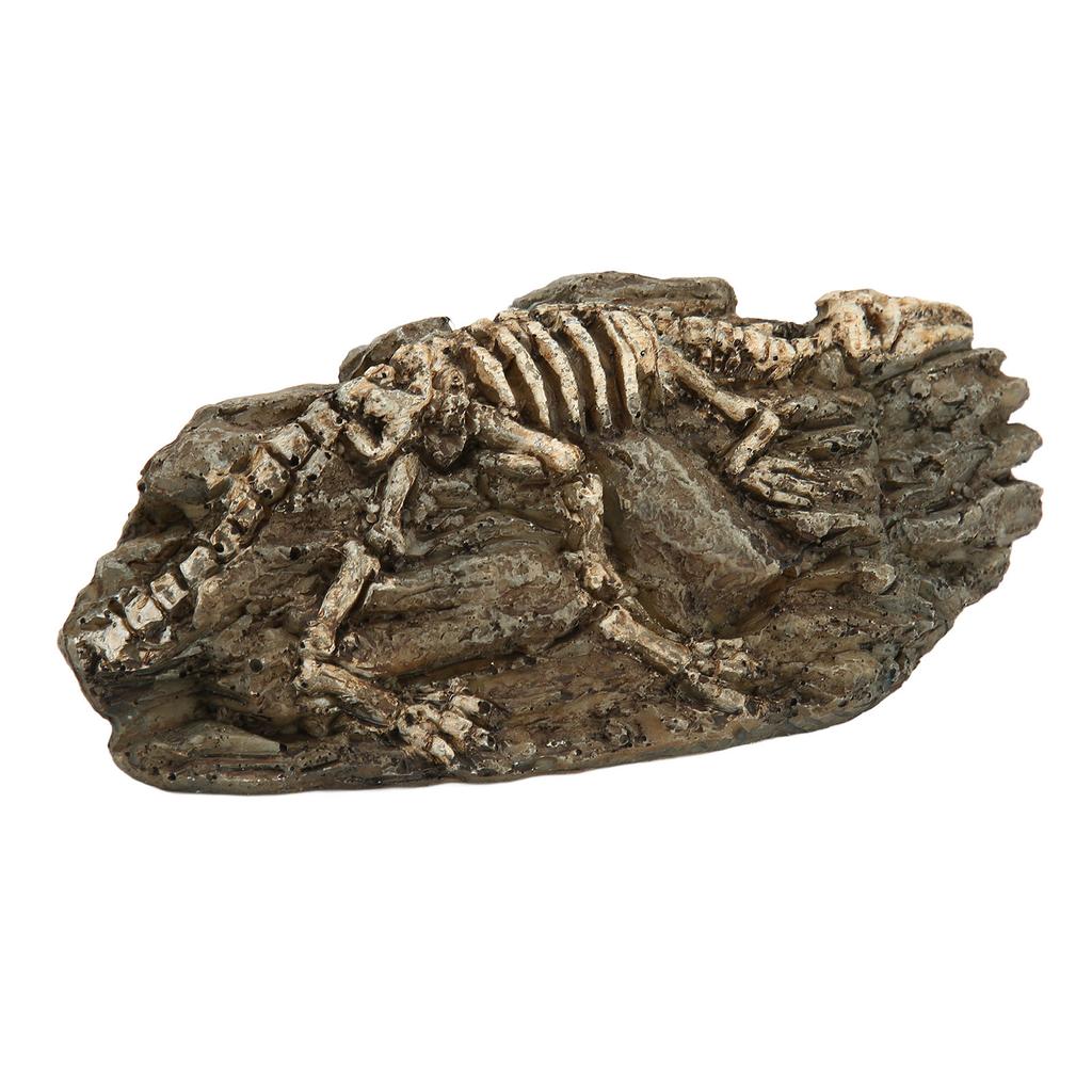Dinosaur Fossil Aquarium Decoration Resin Reptile Ornament Aquarium Animal Craft for Fish Tank