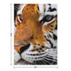 Bengal Tiger Throw Blanket Blankets For Bed Cosplay Anime Christmas Gifts Warm Blankets
