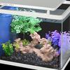 Aquarium Ornament: Simulated Rockery Bridge with Driftwood and Stone for Fish Tank Landscaping