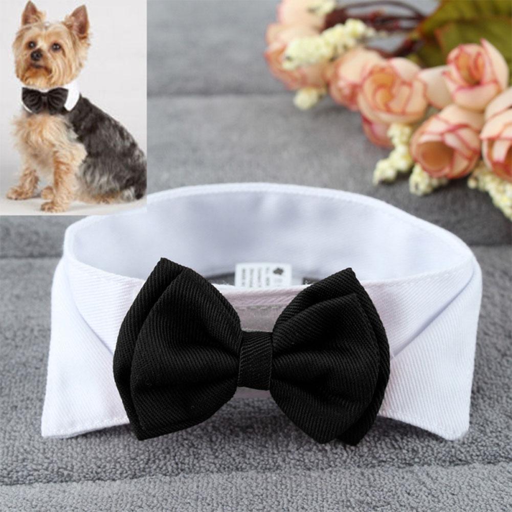 Fashion Adjustable Bow Tie Cute Collar Necktie Bowknot for Pet Dog Cat Wedding Decor