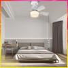 E27 Socket Fan Lamp Living Room Bedroom Dimmable RGB lighting Ceiling Fan Three Wind Speed Electric Ceiling Fan Light