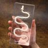 Snake Skeleton Specimen Gothic Natural Science Decor Home Office Desk Curiosity Ornament Acrylic Material Special Gift