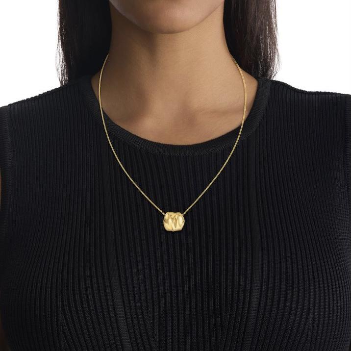 Calvin Klein Timeless Collection Small Apple Elegant Stainless Steel Necklace Women Necklace Gold 35000639