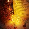 LED Fairy String Lights USB Copper Wire Firefly Garland Light For Home Bedroom Birthday Gift Wedding Party Holiday Decoration