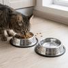 Anti-tip Pet Bowl Rustproof Pet Drinking Bowl Durable Use Cat Food Bowl  Pet Rest Area