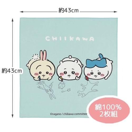 Skater Children's Lunch Box Lunch Cloth Set of 2 Chikawa KB4WN-A