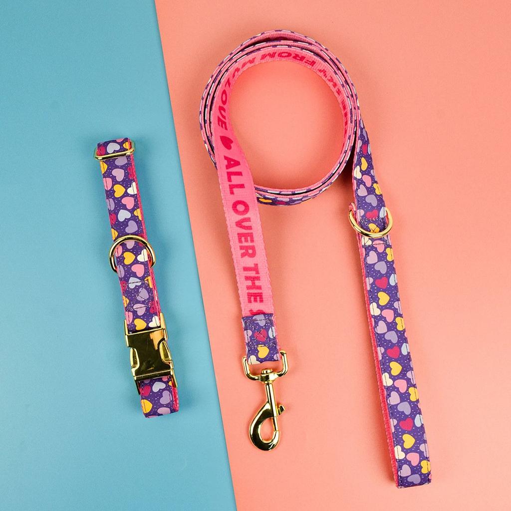 Luxury Brand Summer Colorful Season Adjutable Dog Collar And Leash Set For Small Medium Large Dogs