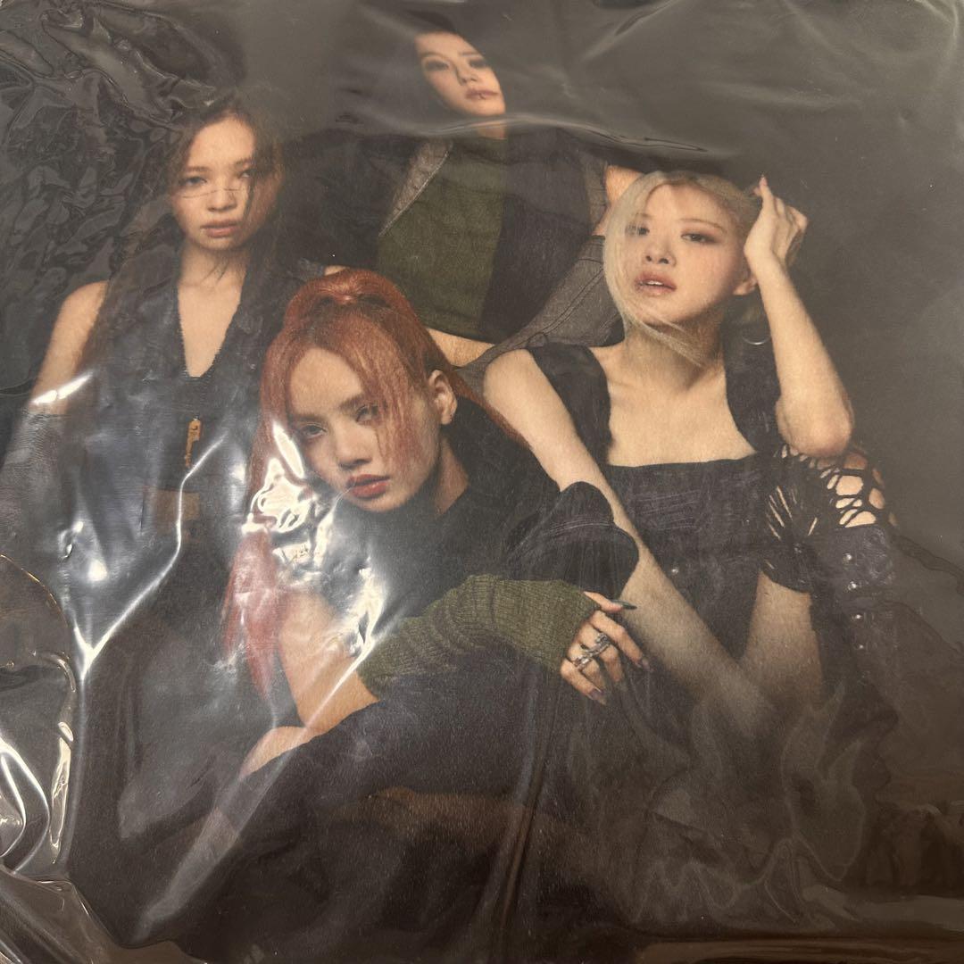 

[USED] BLACKPINK VIP seat exclusive cushion