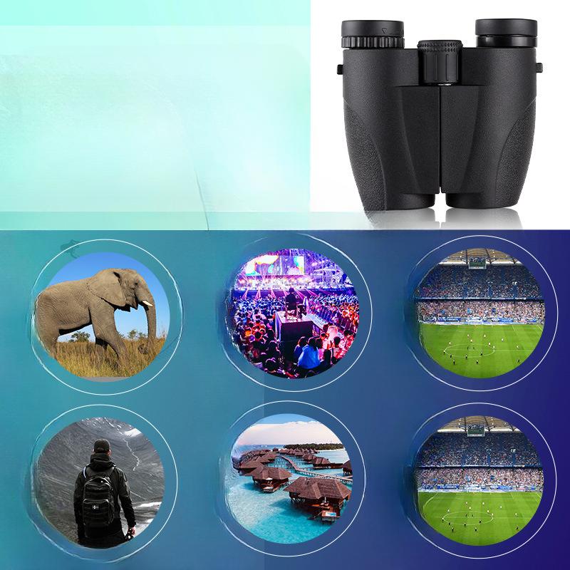 12x25 Paul Binoculars High-definition Low-light Night Vision Concert Factory Cross-border Wholesale New Products