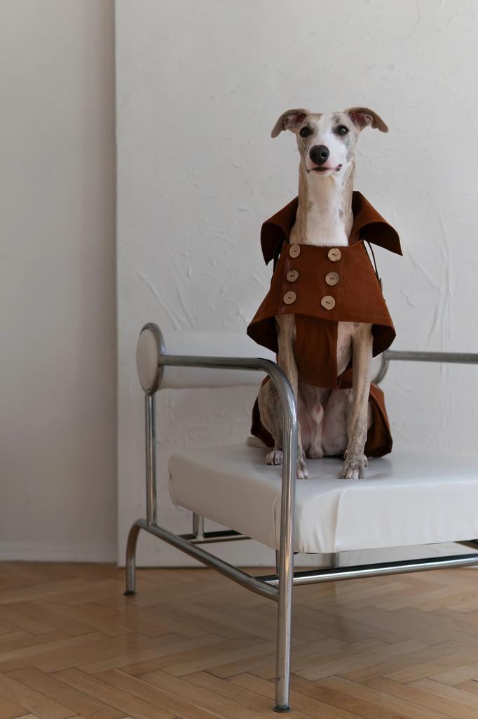 Water-repellent Dog Trench Coat - Chocolate Brown 7