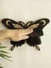 Black Butterfly Display Shelf Star&Moon Wood Floating Wall Shelves for Crystal Stone and Essential Oil Rack Witch Home Decor