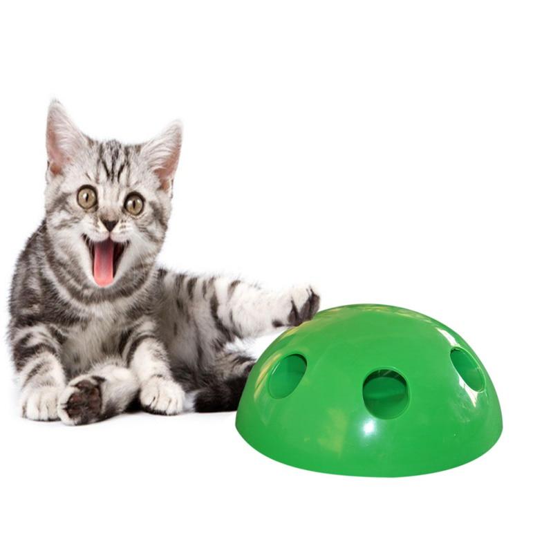pounce interactive cat toy