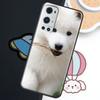 Samoyed Puppy For Realme GT7 GT6 15 Pro 10 11 12 14 13 Pro Plus C75 C71 C65 C55 C63 C61 C53 C67 C35 Case
