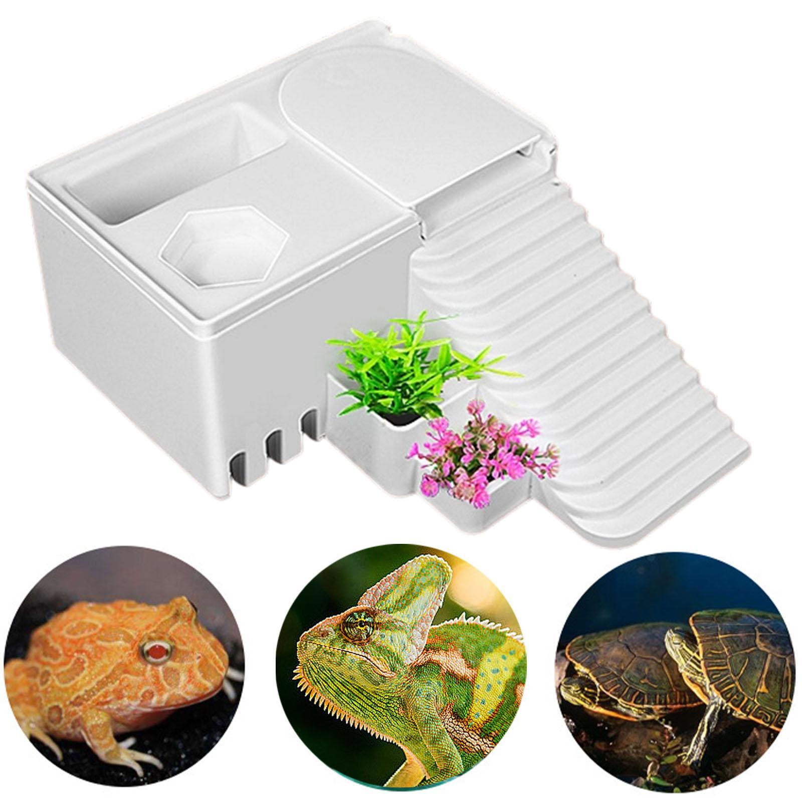 

Aquarium Dock Decoration Rest Terrace Turtle Lamp Bearded Dragon