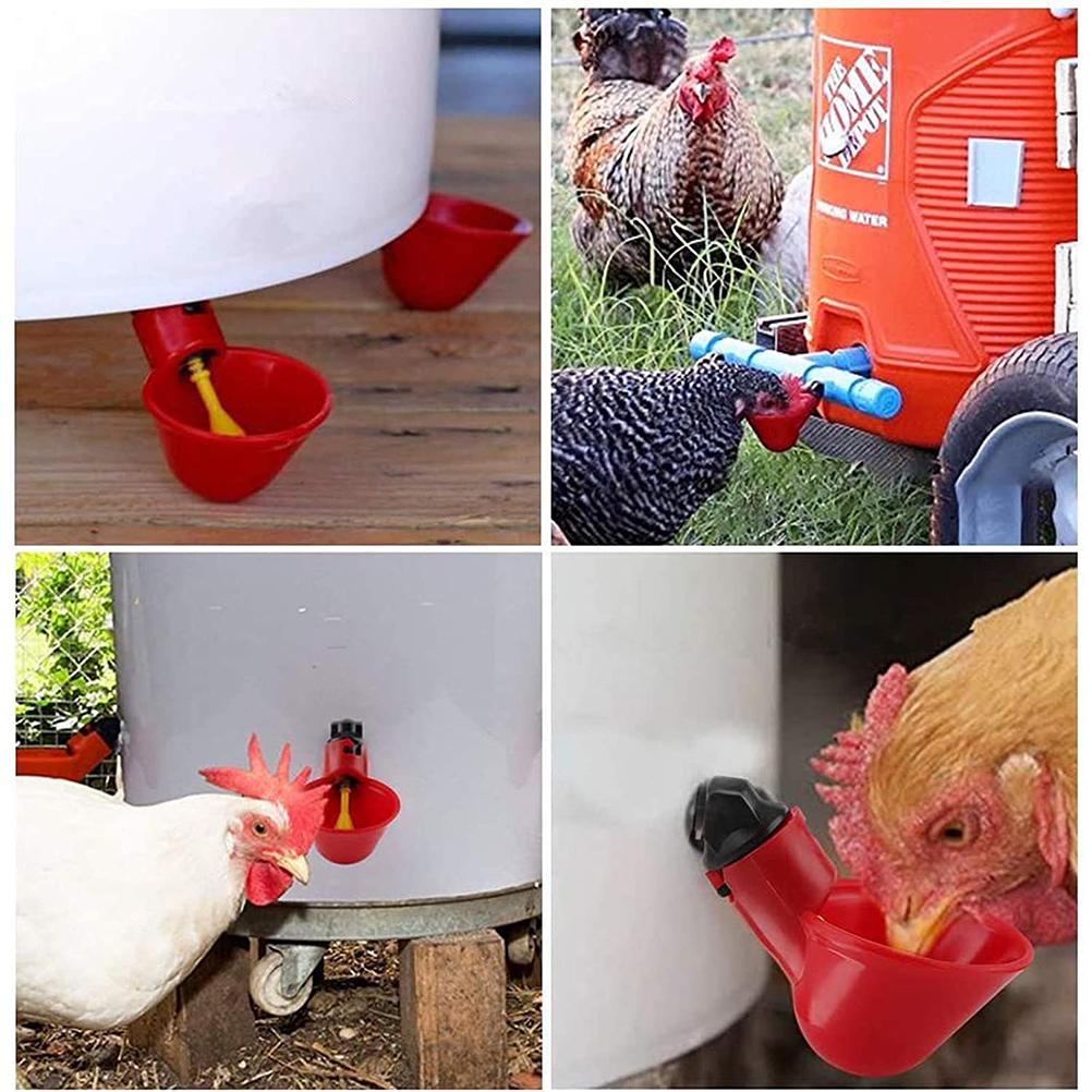 5PCS Automatic Drinker Poultry Drinking Water Cups Plastic Drink Bowl for Poultry Chicken Birds Hen