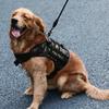 New tactical breast bag, pet going out for dog walking, leash, explosion-proof vest, dog vest, large dog chest back.