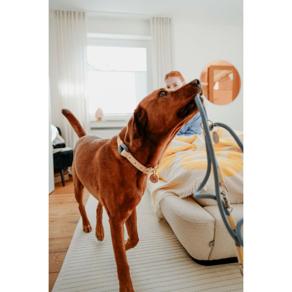 Dog Lead Hunter MALIA Blue 1 x 200 cm