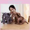 Elephant Plush Rhinoceros Play Cartoon Zoo Commemorate Children Holiday Gifts