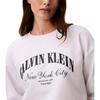 Calvin Klein Letter Round Neck Pullover Long Sleeve Sweatshirt Women sweatshirt 47F818G-YAF