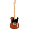 American Performer Sassafras Telecaster Maple Fingerboard Mocha Fender In Limited Fender/FSR [Made USA] [Ishibashi Sale]