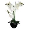ARTIFICIAL ORCHID IN A POT Black Orchid